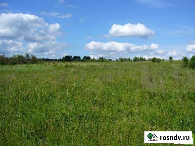 Участок СНТ, ДНП 150 сот. на продажу в Лениной Ленина - изображение 1