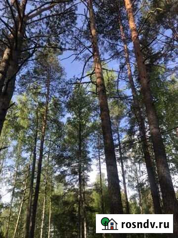 Участок ИЖС 15 сот. на продажу в Глебычево Глебычево - изображение 1