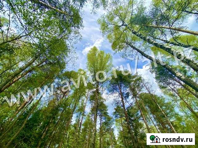 Участок СНТ, ДНП 10 сот. на продажу в Петровском Ярославской области Петровское - изображение 1