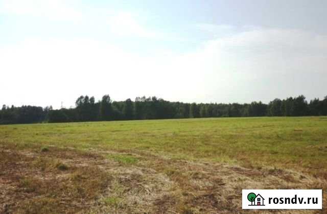 Участок ИЖС 50 сот. на продажу в Карабаново Карабаново - изображение 1