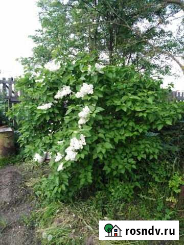 2-комнатная квартира, 31 м², 2/2 эт. на продажу в Балахне Балахна - изображение 1