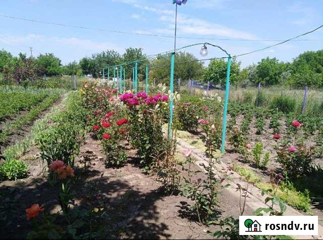 Дача 20 м² на участке 6 сот. на продажу в Каневской Каневская - изображение 1