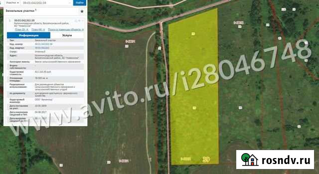 Участок СНТ, ДНП 780 сот. на продажу в Калининграде Калининград - изображение 1