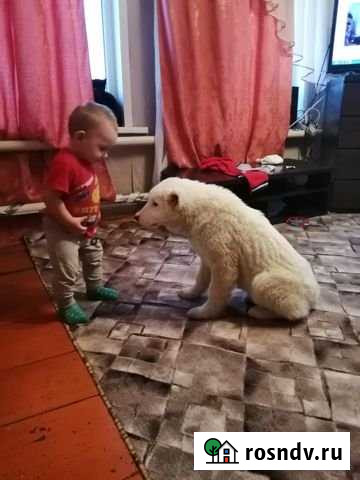 Дом 125 м² на участке 14 сот. на продажу в Новых Зорях Новые Зори - изображение 1