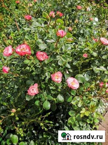 Участок ИЖС 4 сот. на продажу в Ростове-на-Дону Ростов-на-Дону - изображение 1