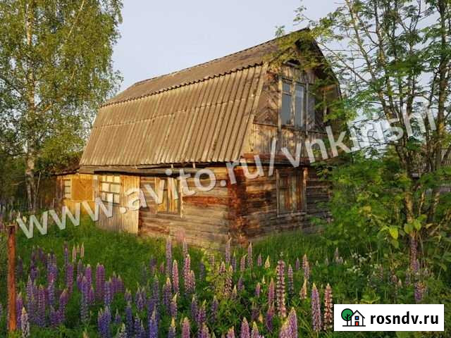 Дача 42 м² на участке 6 сот. на продажу в Киришах Кириши - изображение 1