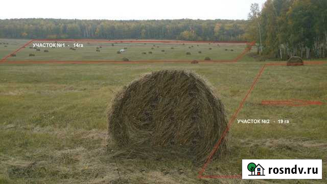 Участок СНТ, ДНП 3300 сот. на продажу в Уйском Уйское - изображение 1