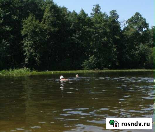 Участок СНТ, ДНП 150 сот. на продажу в Сосновском Сосновское - изображение 1