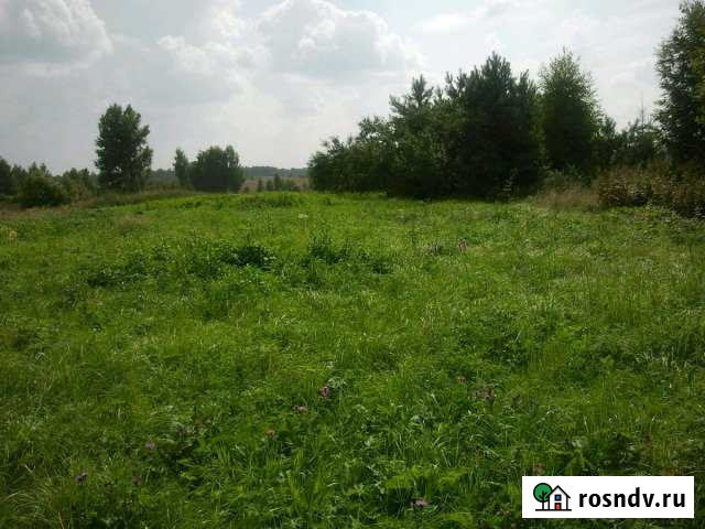 Участок ИЖС 25 сот. на продажу в Струнино Струнино - изображение 1