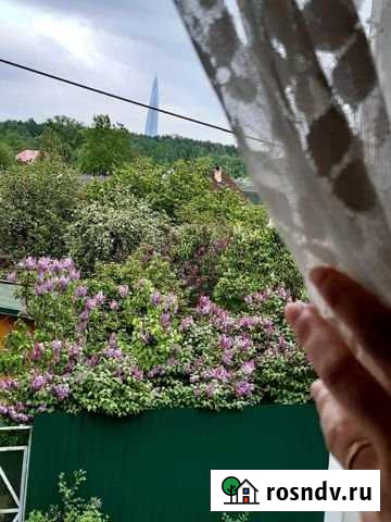 Дом 46 м² на участке 6 сот. на продажу в Санкт-Петербурге Санкт-Петербург - изображение 1