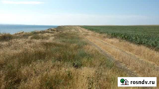 Участок ИЖС 1300 сот. на продажу в Сенном Сенной - изображение 1