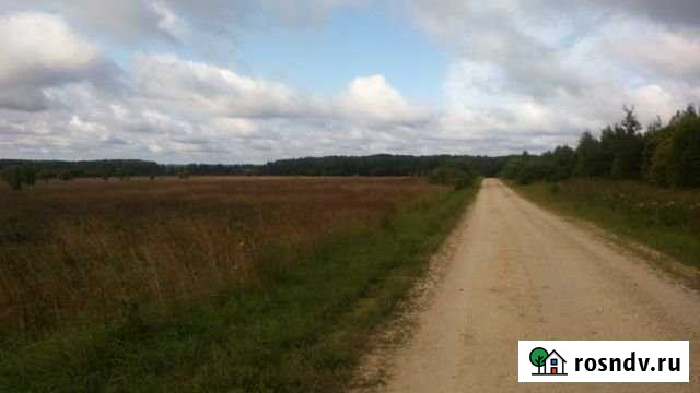 Участок СНТ, ДНП 850 сот. на продажу в Кольчугино Кольчугино - изображение 1