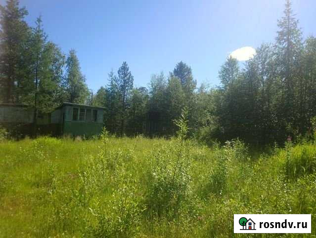 Участок СНТ, ДНП 6 сот. на продажу в Усинске Усинск - изображение 1
