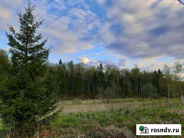 Участок ИЖС 7 сот. на продажу в Правдинском Правдинский - изображение 1