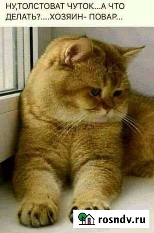 Участок ИЖС 10 сот. на продажу в Старонижестеблиевской Старонижестеблиевская - изображение 1