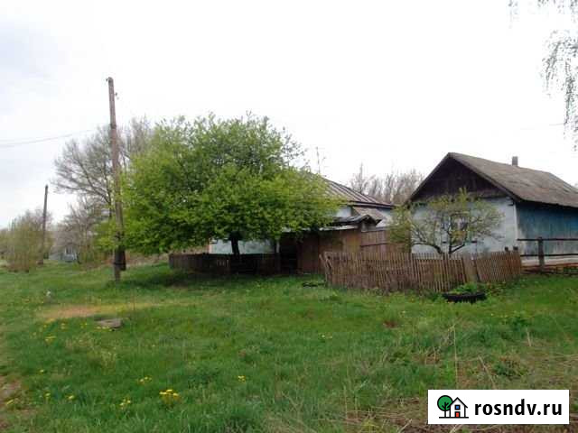 Дом 58.5 м² на участке 50 сот. на продажу в Иловке Иловка - изображение 1