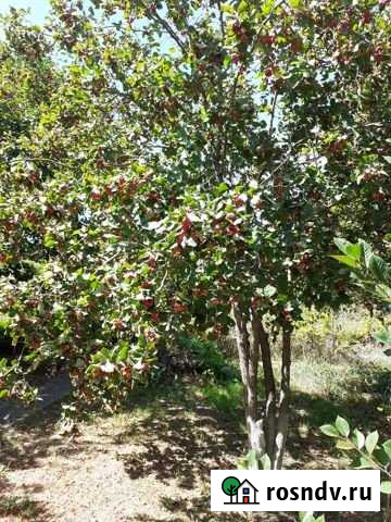 Участок ИЖС 19 сот. на продажу в Старомышастовской Старомышастовская - изображение 1