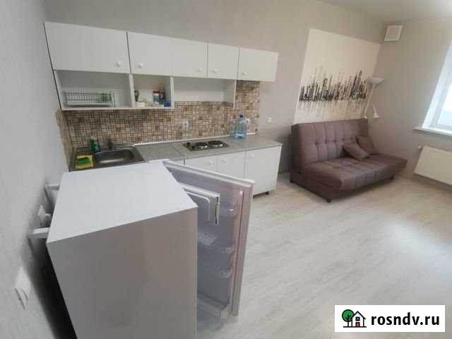 Квартира-студия, 28 м², 2/11 эт. в аренду на длительный срок в Екатеринбурге Екатеринбург - изображение 1