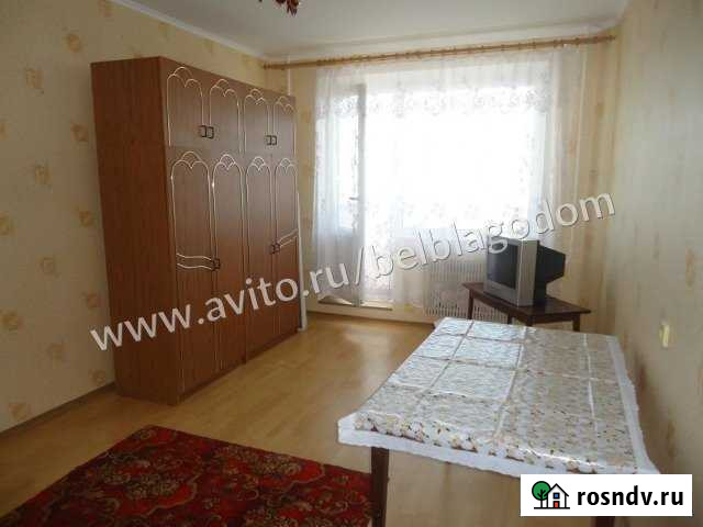 1-комнатная квартира, 30 м², 6/9 эт. в аренду на длительный срок в Белгороде Белгород - изображение 1