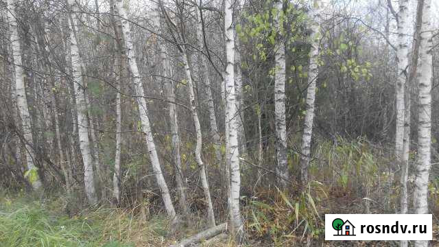 Участок СНТ, ДНП 12 сот. на продажу в Решетниково Решетниково - изображение 1