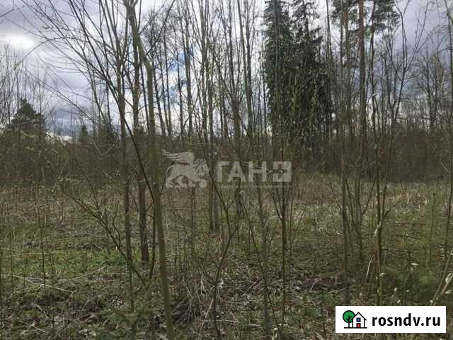 Участок ИЖС 16 сот. на продажу в Сиверском Сиверский - изображение 1