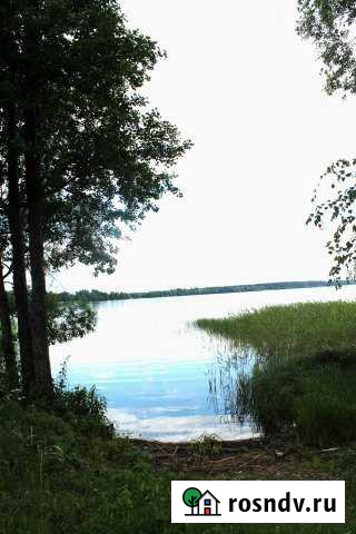 Участок ИЖС 15 сот. на продажу в Невеле Невель - изображение 1