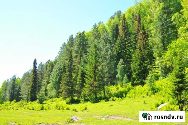 Участок ИЖС 53 сот. на продажу в Турочаке Турочак - изображение 1