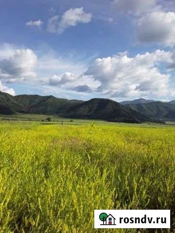 Участок ИЖС 18 сот. на продажу в Усть-Коксе Усть-Кокса - изображение 1