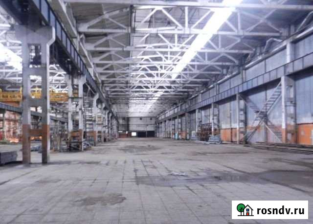 Продам производственный комплекс 43 500 кв.м Сосновый Бор - изображение 1