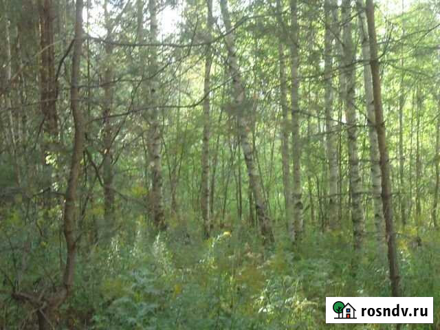 Участок СНТ, ДНП 24 сот. на продажу во Владимире Владимир - изображение 1