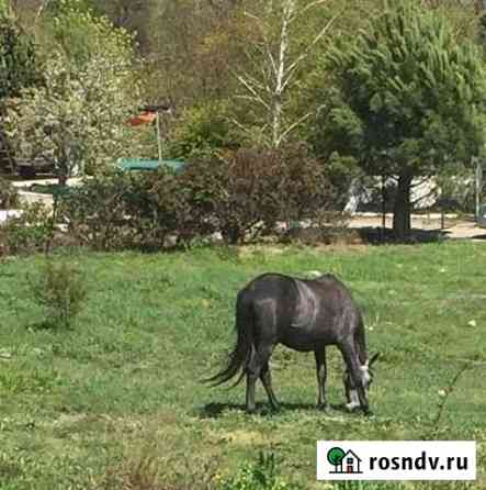 Участок ИЖС 5 сот. на продажу в Алупке Алупка