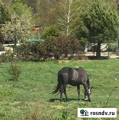 Участок ИЖС 5 сот. на продажу в Алупке Алупка - изображение 1