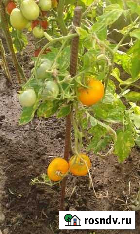 Дача 24 м² на участке 6.1 сот. на продажу в Дзержинске Дзержинск - изображение 1