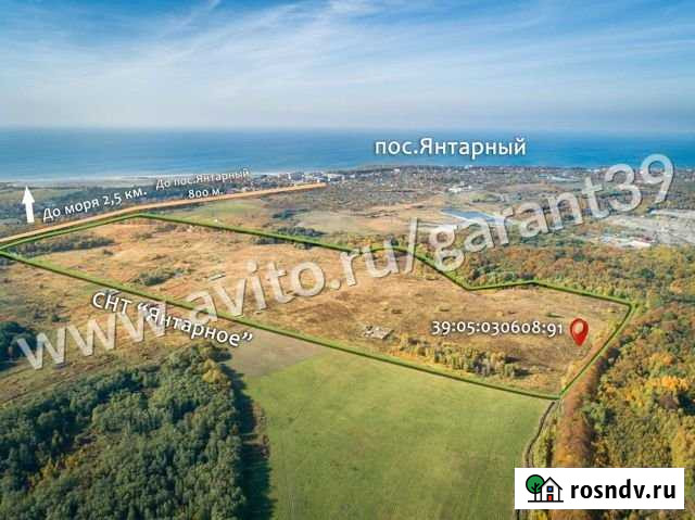 Участок СНТ, ДНП 6 сот. на продажу в Янтарном Янтарный - изображение 1