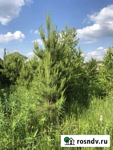 Участок СНТ, ДНП 10 сот. на продажу в Иркутске Иркутск - изображение 1