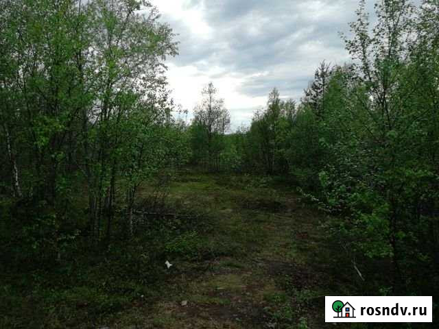 Участок СНТ, ДНП 11 сот. на продажу в Коле Кола - изображение 1