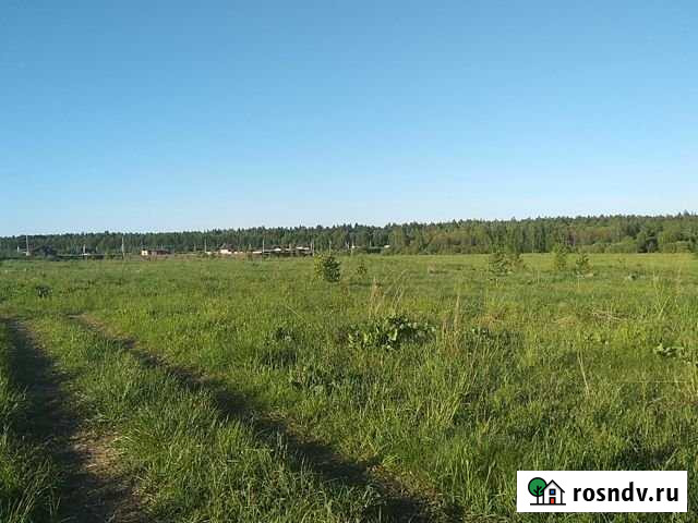 Участок СНТ, ДНП 750 сот. на продажу в Рошале Рошаль - изображение 1