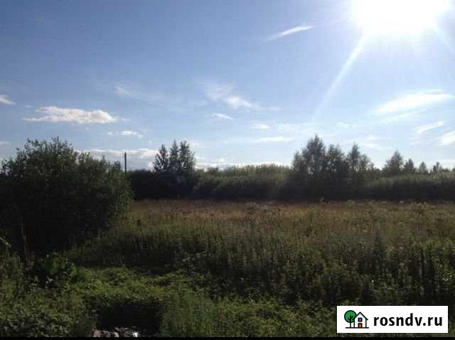 Участок ИЖС 17 сот. на продажу в Усть-Лугах Усть-Луга - изображение 1