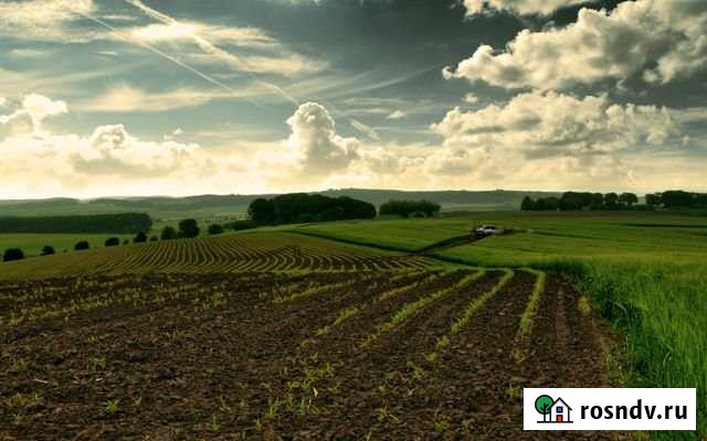 Участок СНТ, ДНП 560 сот. на продажу в Казани Казань - изображение 1