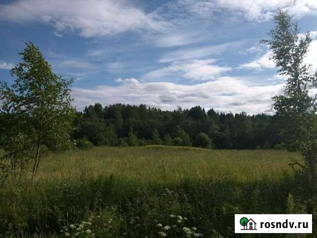 Участок ИЖС 150 сот. на продажу в Стругах Красных Струги Красные - изображение 1