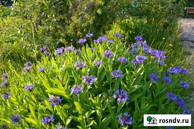 Участок ИЖС 15 сот. на продажу в Мурманске Мурманск - изображение 1