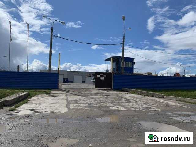 Участок промназначения 100 сот. в аренду в Колпино Колпино - изображение 1