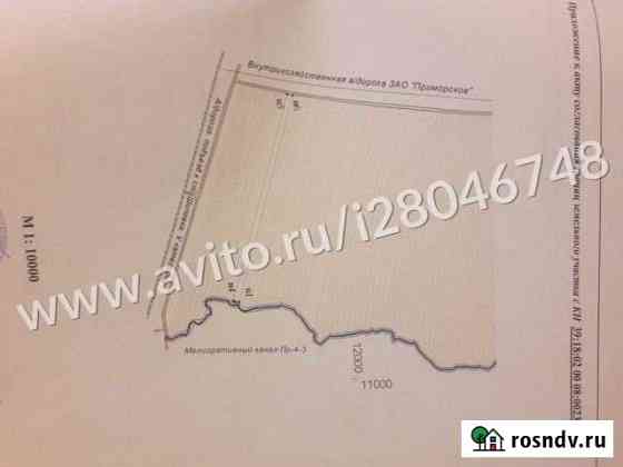 Участок СНТ, ДНП 150 сот. на продажу в Светлом Калининградской области Светлый