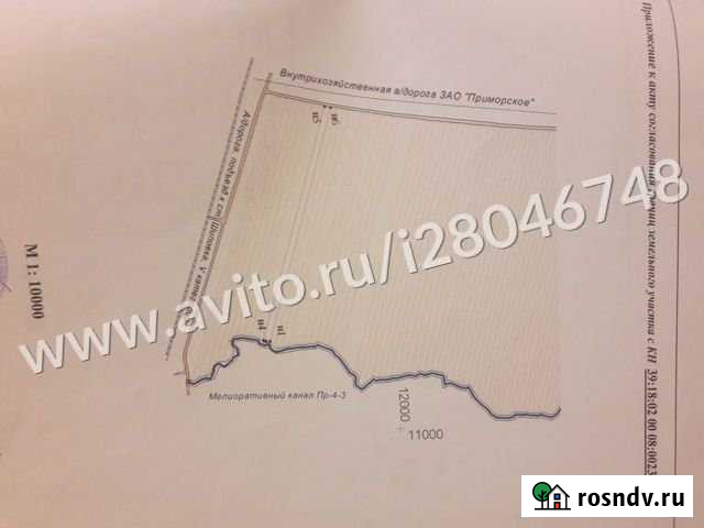 Участок СНТ, ДНП 150 сот. на продажу в Светлом Калининградской области Светлый - изображение 1