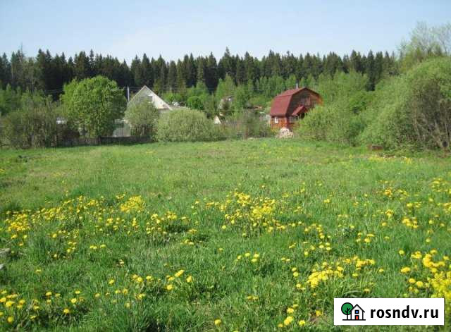 Участок СНТ, ДНП 12 сот. на продажу в Шаховской Шаховская - изображение 1