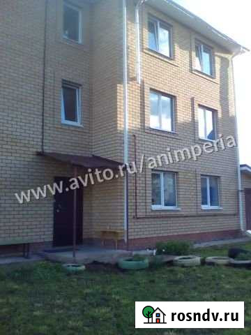 Квартира-студия, 17.9 м², 3/3 эт. на продажу в Ижевске Ижевск - изображение 1