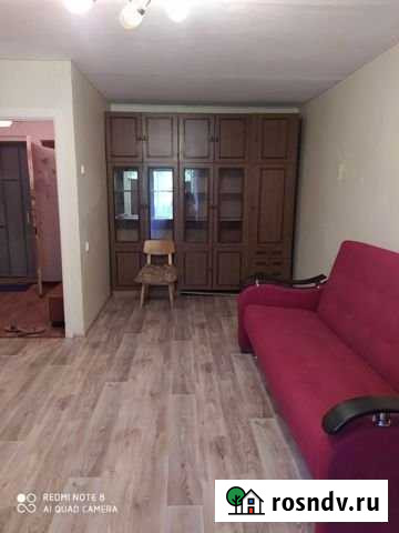 1-комнатная квартира, 33 м², 1/5 эт. в аренду на длительный срок в Сосновом Бору Сосновый Бор - изображение 1