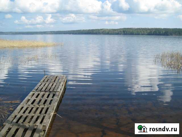 Участок ИЖС 16 сот. на продажу в Сосново Сосново - изображение 1