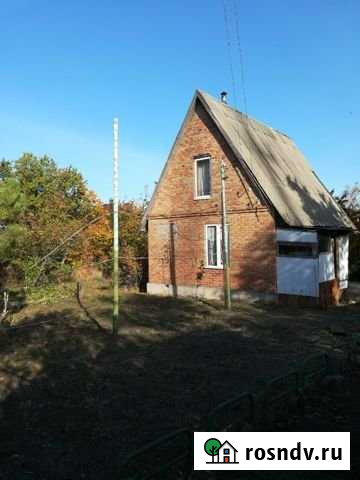 Дача 48 м² на участке 6 сот. на продажу в Большом Логу Большой Лог - изображение 1