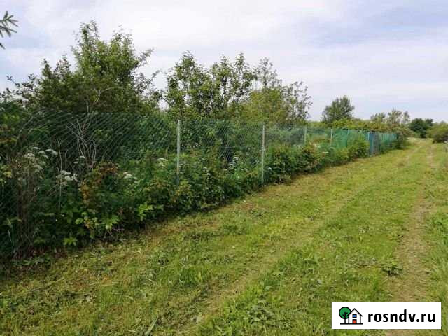 Дача 20 м² на участке 12 сот. на продажу в Ивангороде Ивангород - изображение 1